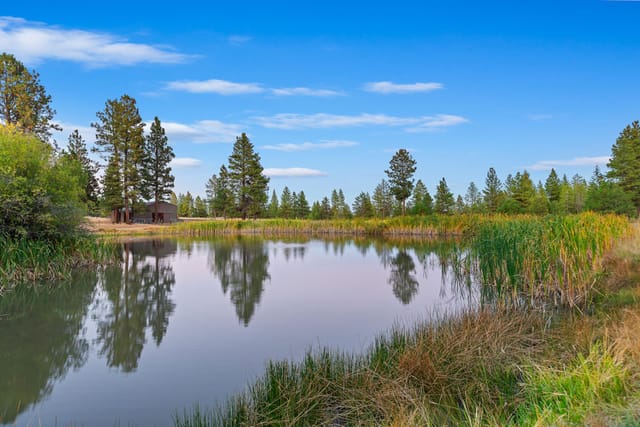 62924 Wolf Creek Lane photo 7