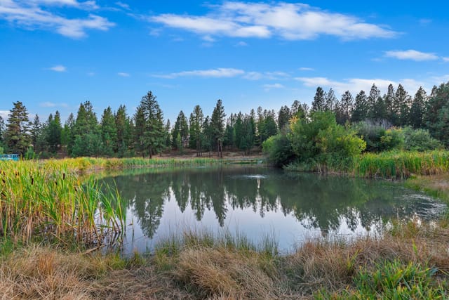 62924 Wolf Creek Lane photo 8