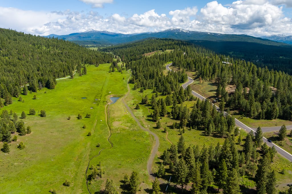 Aerial view of expansive green mountain acreage with pond and pine forest in Idaho